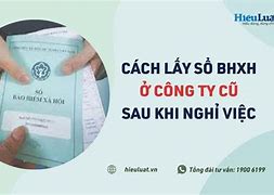 Bảo Hiểm Xã Hội Ở Mỹ Tho