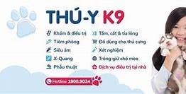 Thú Y K9 Quân 7 Nằm Ở Đâu