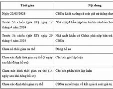 Thuế Chống Trợ Cấp Ở Việt Nam 2024